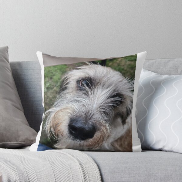 Item preview, Cute little old man doggy designed and sold by Raineylanes.