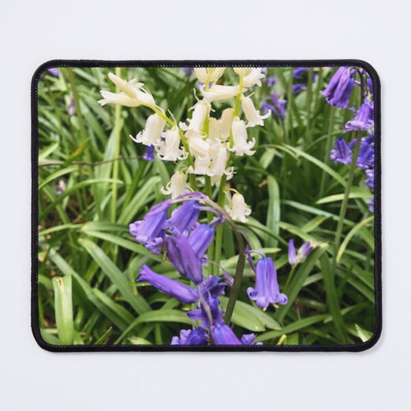 Item preview, Bluebells blue and white flowers in nature designed and sold by Lindsay Marie Patterns.