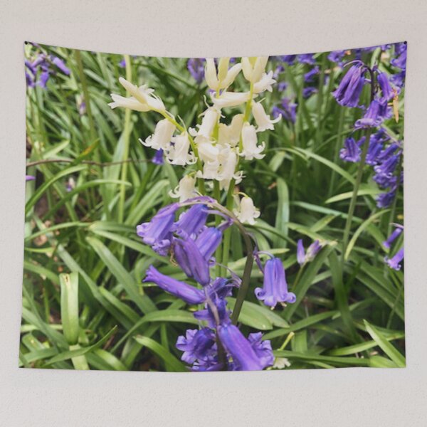 Item preview, Bluebells blue and white flowers in nature designed and sold by Lindsay Marie Patterns.