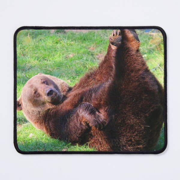 Item preview, Bear Exercise designed and sold by Fearless-Fox.