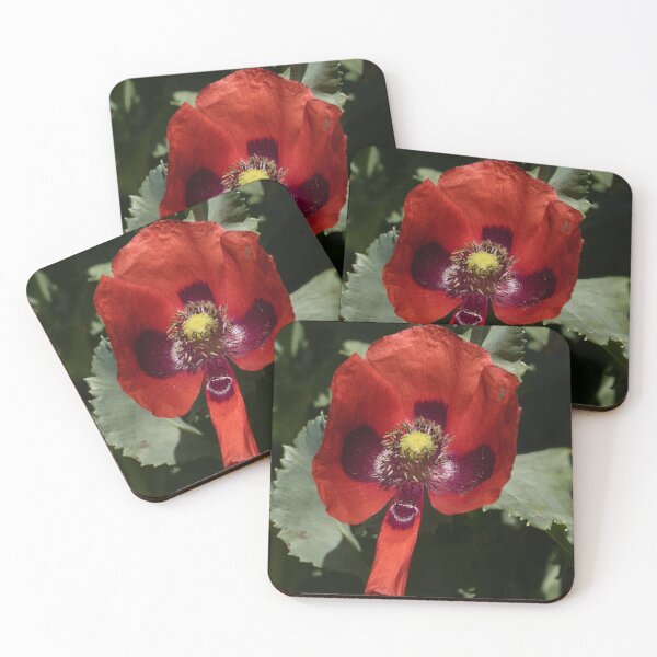Item preview, Lest we forget poppy designed and sold by Glen McDonald.