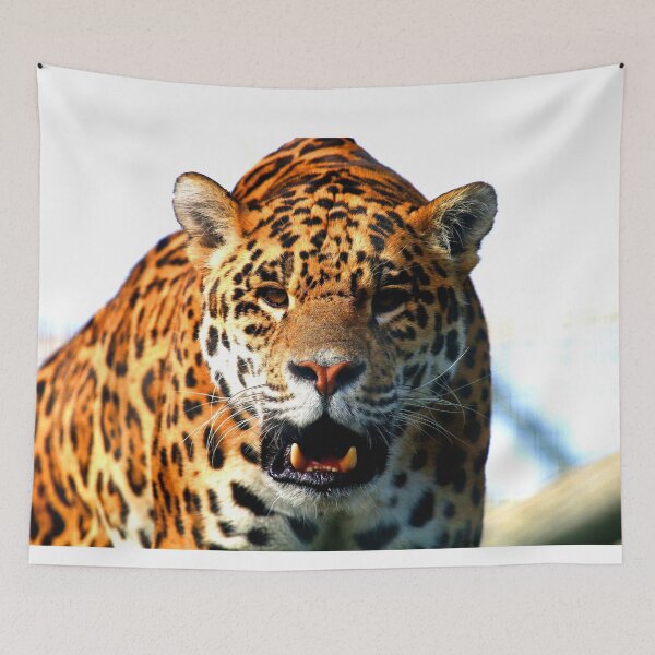Item preview, Jaguar Roar designed and sold by Fearless-Fox.