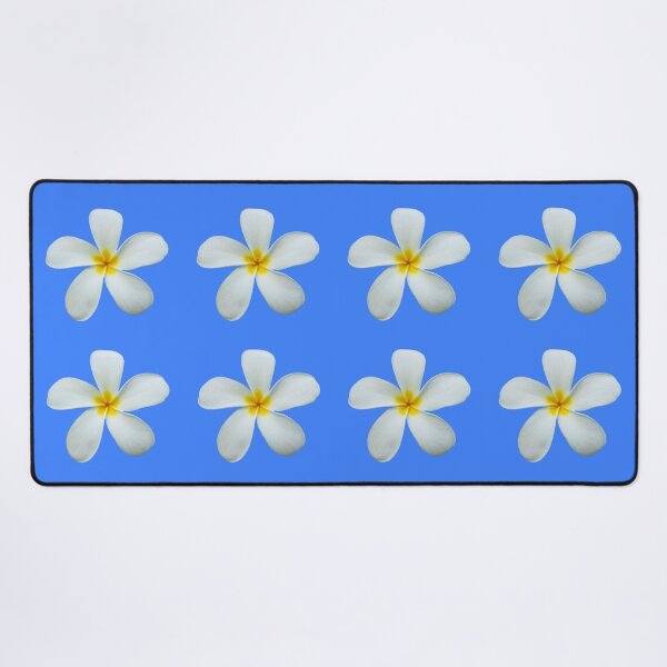 Item preview, White Frangipani Flowers with blue background | Australian tropical flowers designed and sold by Lindsay Marie Patterns.