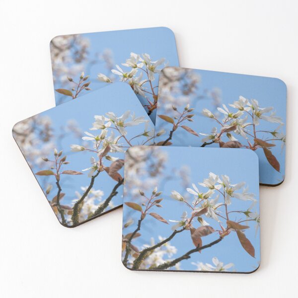 Item preview, beautiful white flowers against a clear sky designed and sold by TW-Fotos.