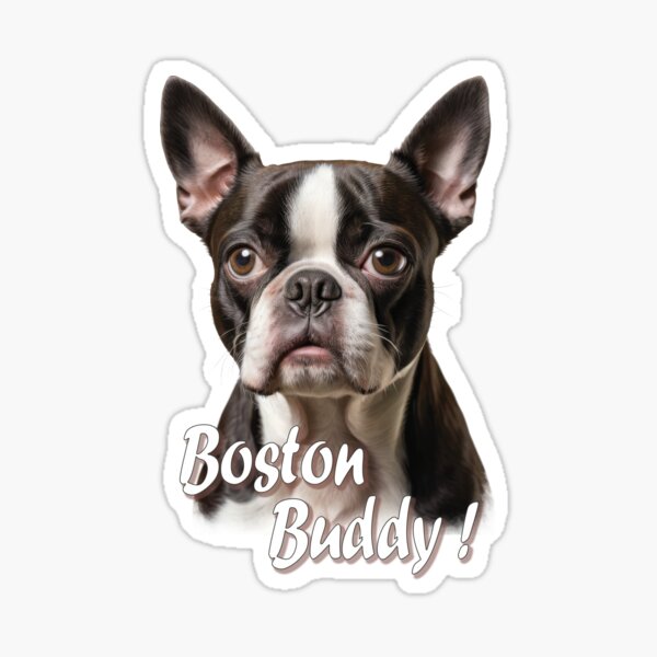 Item preview, Boston Buddy! designed and sold by GWTSHIRT.