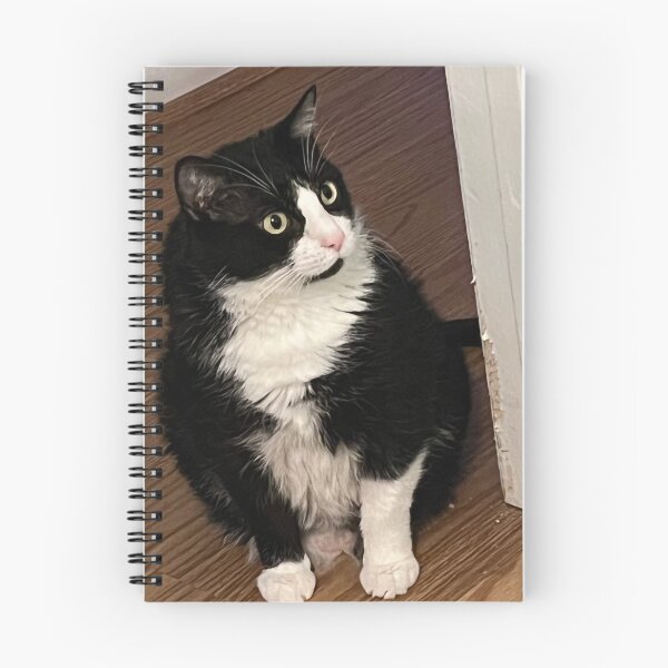 Item preview, Shocked  designed and sold by Gizmo-cat.