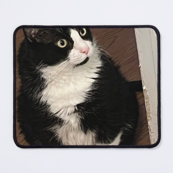 Item preview, Shocked designed and sold by Gizmo-cat.