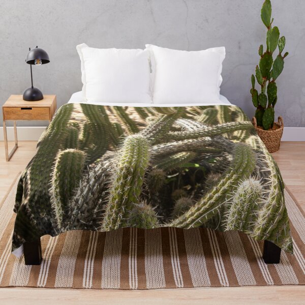 Item preview, many cacti in nature 3 designed and sold by felipequeiroz.