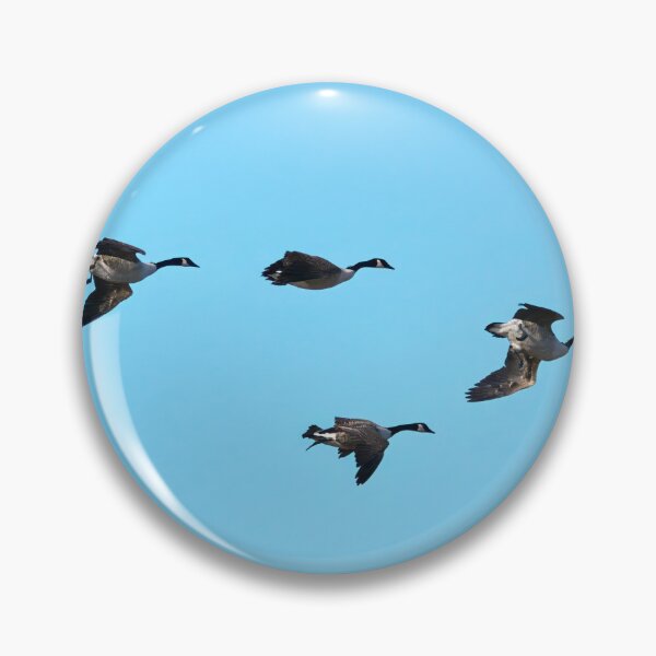 Item preview, Turbulence. Canada goose designed and sold by Jouko Lehto Photography.