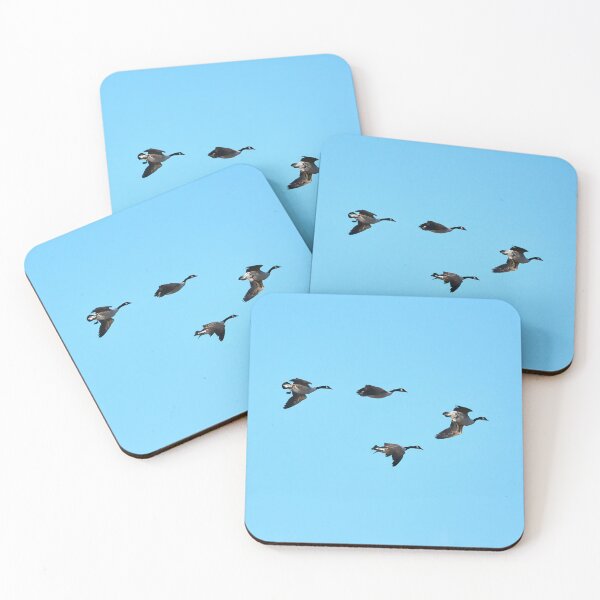 Item preview, Turbulence. Canada goose designed and sold by Jouko Lehto Photography.