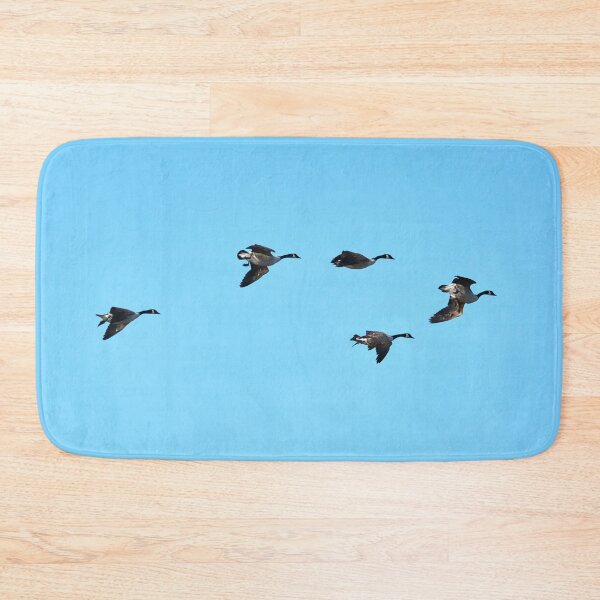 Item preview, Turbulence. Canada goose designed and sold by Jouko Lehto Photography.