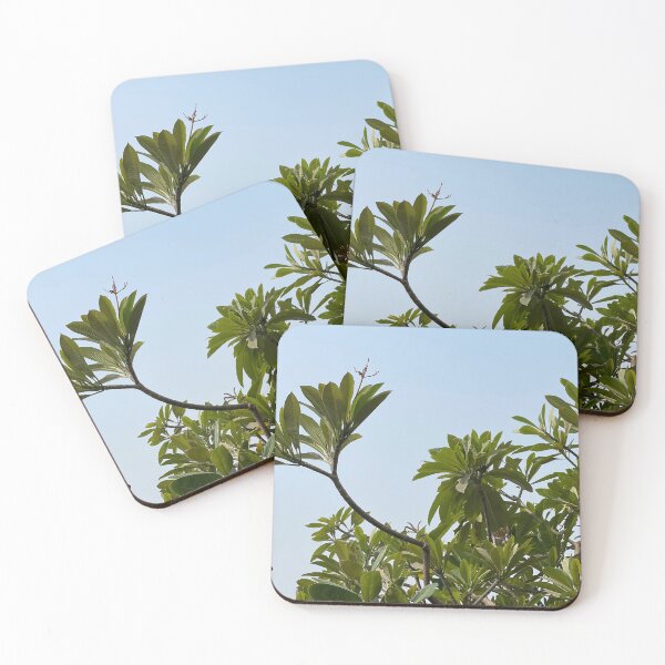 Item preview, The Branch That Reached Far - Beautiful Trees Foliage designed and sold by JashJhaveri.