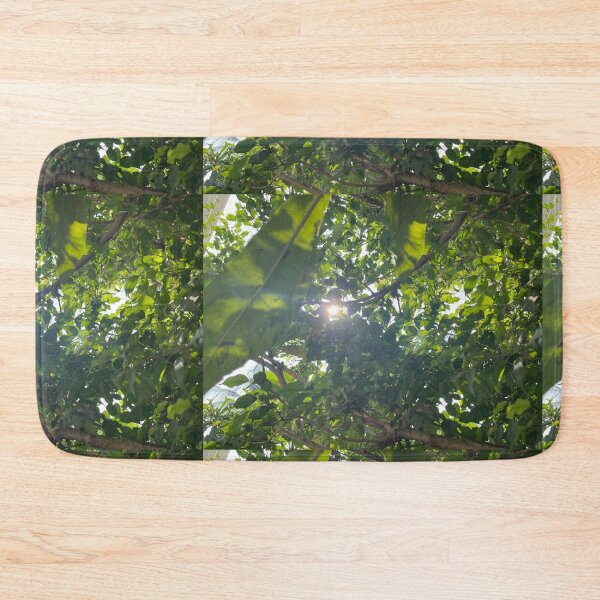 Item preview, Trees are in my soul beautiful photography nature designed and sold by JashJhaveri.