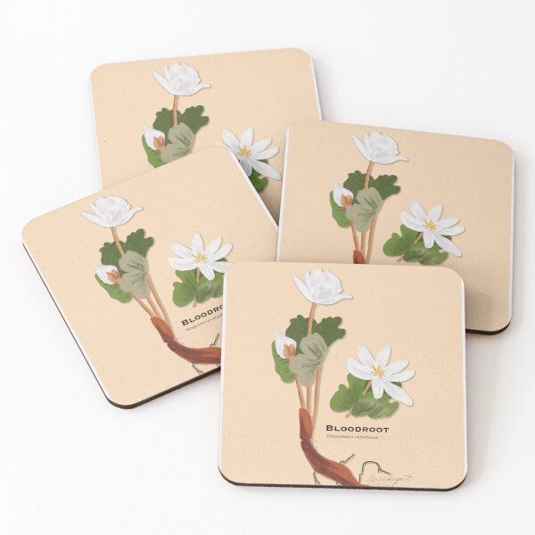 Item preview, Bloodroot Botanical Illustration designed and sold by Peleegirl.