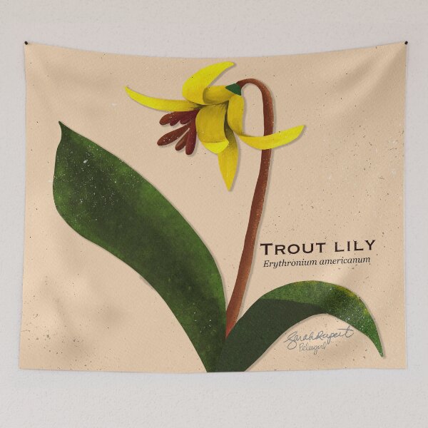 Item preview, Trout Lily Botanical Illustration designed and sold by Peleegirl.