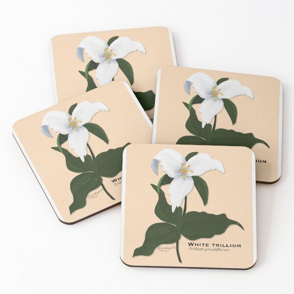 Item preview, White Trillium Botanical Illustration designed and sold by Peleegirl.