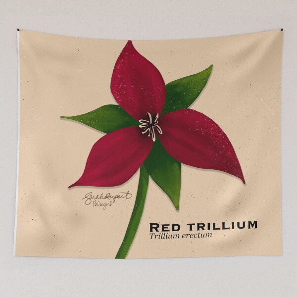 Item preview, Red Trillium Botanical Illustration designed and sold by Peleegirl.