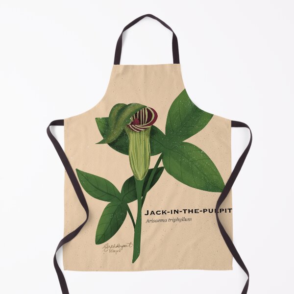 Item preview, Jack-in-the-pulpit Botanical Illustration designed and sold by Peleegirl.