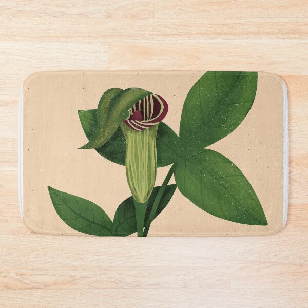 Item preview, Jack-in-the-pulpit Botanical Illustration designed and sold by Peleegirl.