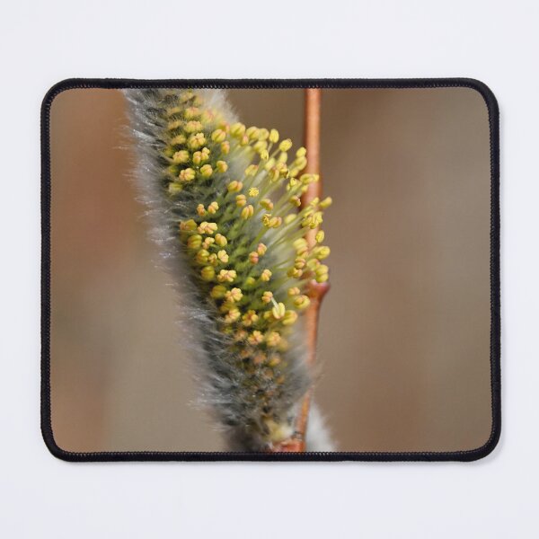 Item preview, Yellowishing. Willow designed and sold by Jouko Lehto Photography.
