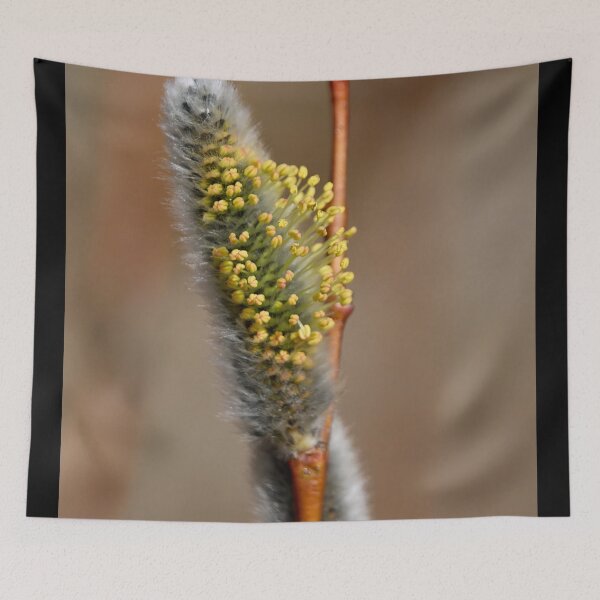 Item preview, Yellowishing. Willow designed and sold by Jouko Lehto Photography.