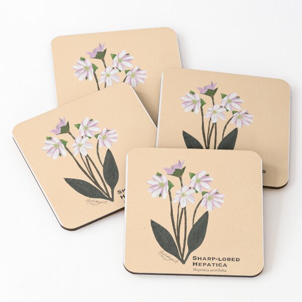 Item preview, Sharp-lobed Hepatica Botanical Illustration designed and sold by Peleegirl.