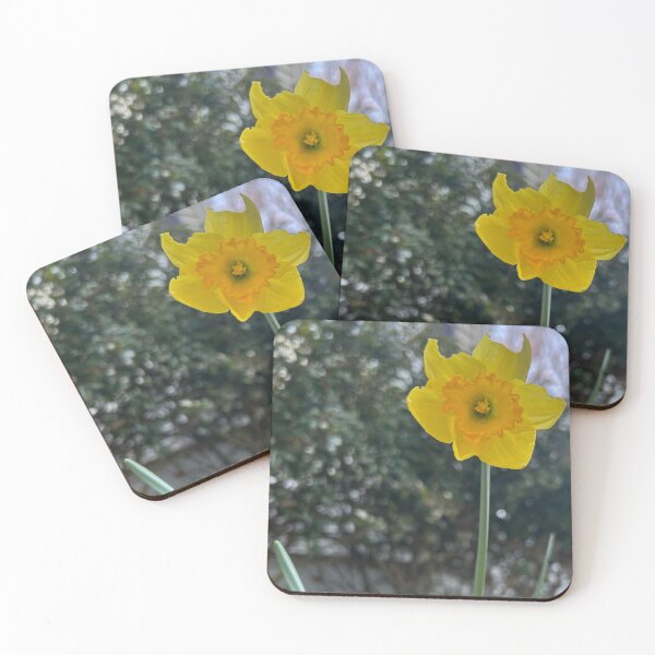 Item preview, Daffodil  designed and sold by Lauracolleen3.