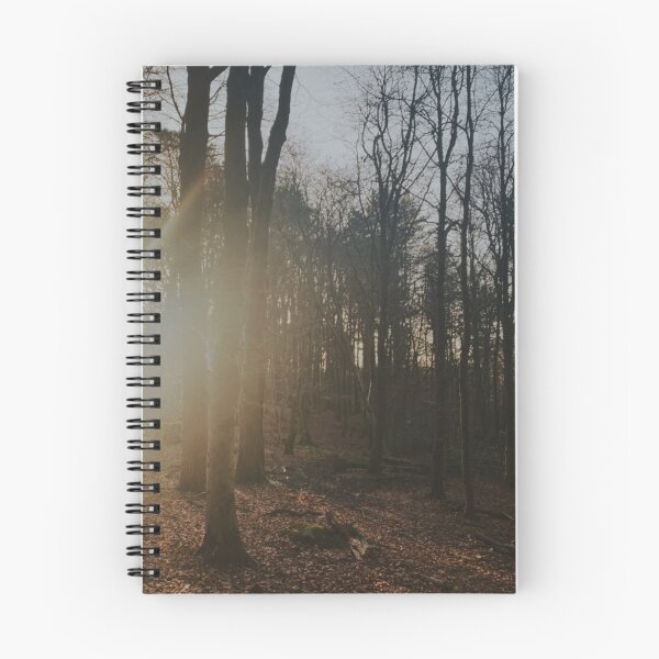 Item preview, Pollok Park - Glasgow - Scotland  designed and sold by Emilia Oxelheim.