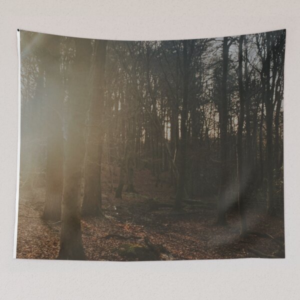 Item preview, Pollok Park - Glasgow - Scotland  designed and sold by Emilia Oxelheim.