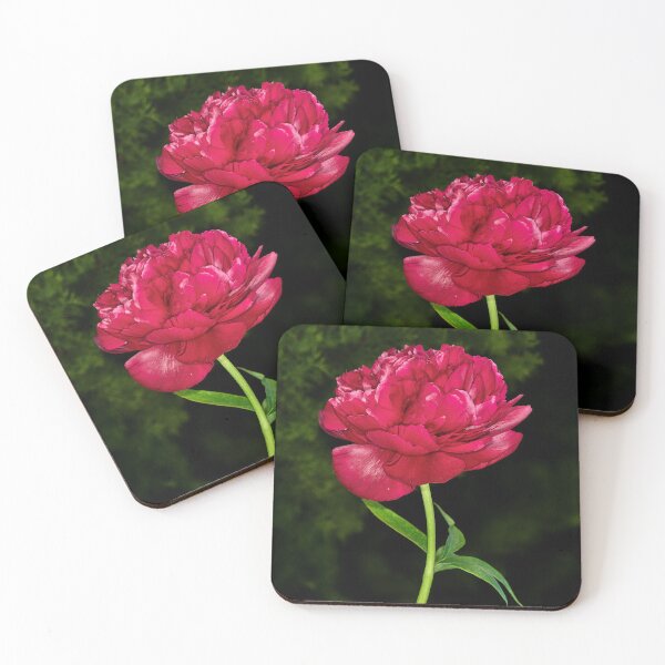 Item preview, Peony Rose designed and sold by Tom McPherson Photography.