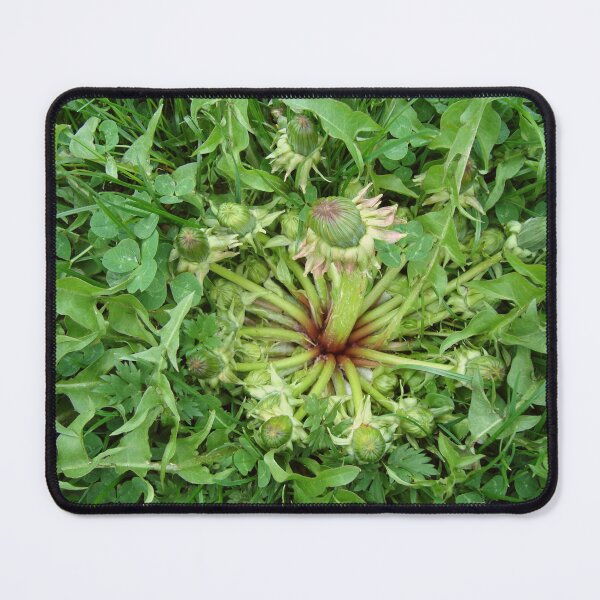 Item preview, dandelion designed and sold by spillwarkNmuse.