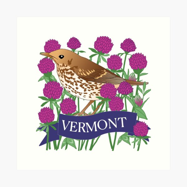 Item preview, Vermont State Flower and Bird designed and sold by WingsandPetals.
