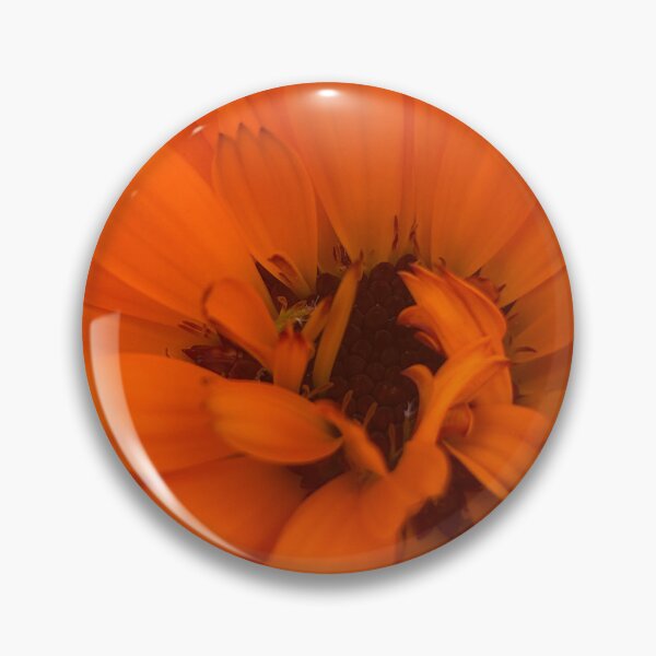 Item preview, Close-Up of a Calendula Flower designed and sold by Colourful Wonderful.