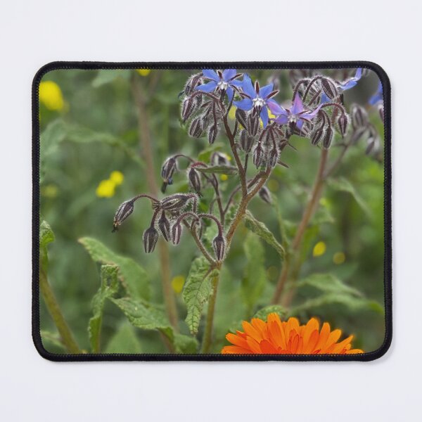 Item preview, Flower power - Paleta de colores de las flores designed and sold by Colourful Wonderful.