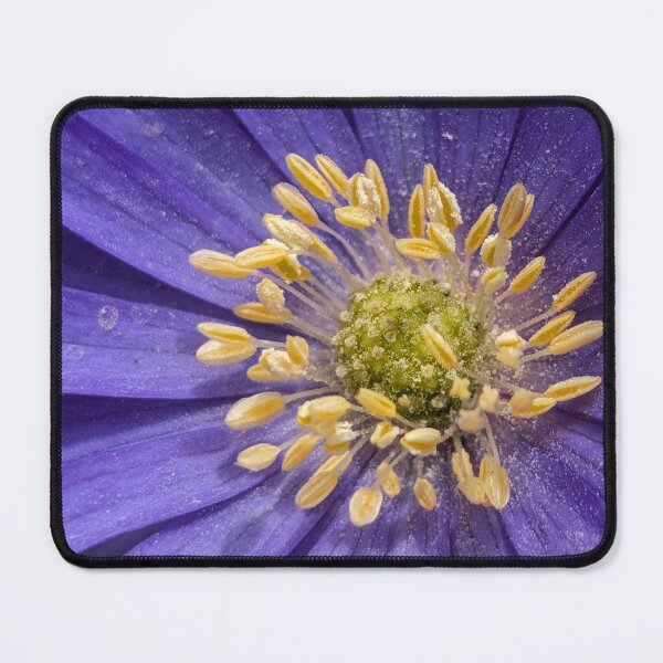 Item preview, Grecian Windflower designed and sold by Emily Noyes.