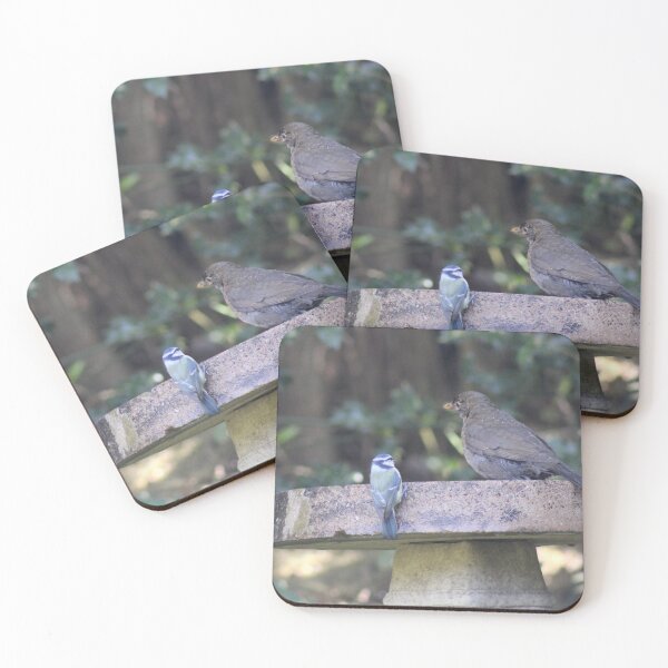 Item preview, Two birds having a chat on the bird bath designed and sold by Colourful Wonderful.