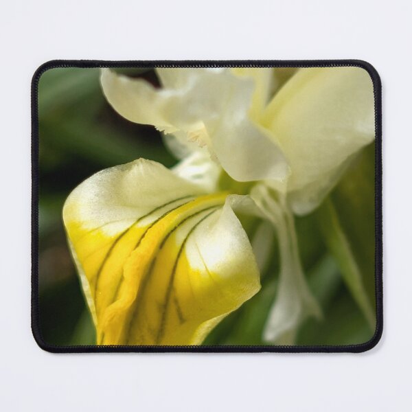 Item preview, Iris designed and sold by Emily Noyes.