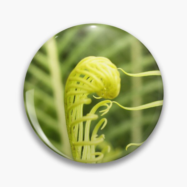 Item preview, Coil of Fern designed and sold by MooseDogPhotos.