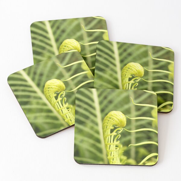 Item preview, Coil of Fern designed and sold by MooseDogPhotos.