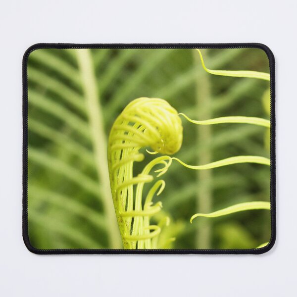 Item preview, Coil of Fern designed and sold by MooseDogPhotos.