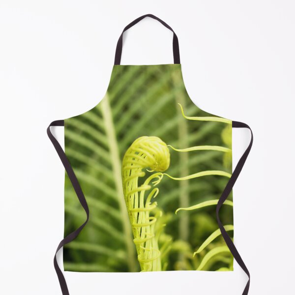 Item preview, Coil of Fern designed and sold by MooseDogPhotos.