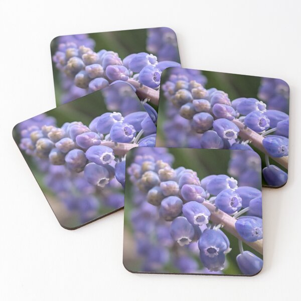Item preview, Grape Hyacinth  designed and sold by Emily Noyes.