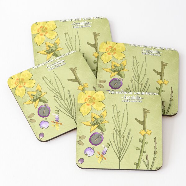 Item preview, Kunkeliella canariensis — Botanical Art (SRBartist Style) designed and sold by SRBartist.