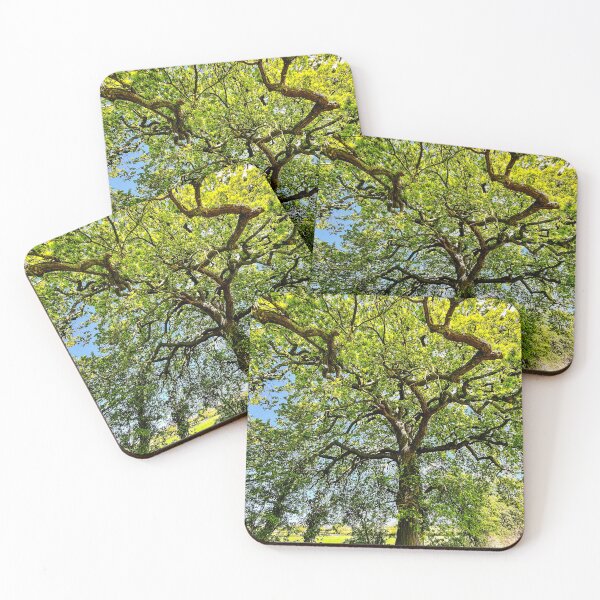 Item preview, Oak Tree designed and sold by ScenicViewPics.