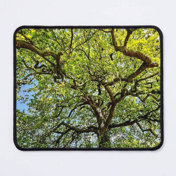 Item preview, Oak Tree designed and sold by ScenicViewPics.