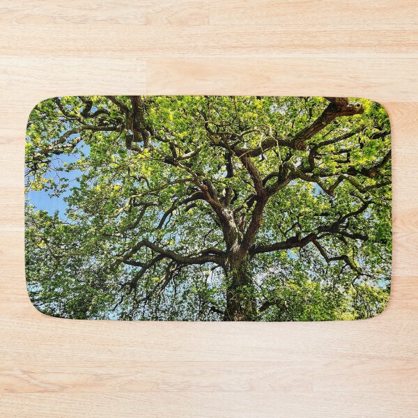 Item preview, Oak Tree designed and sold by ScenicViewPics.