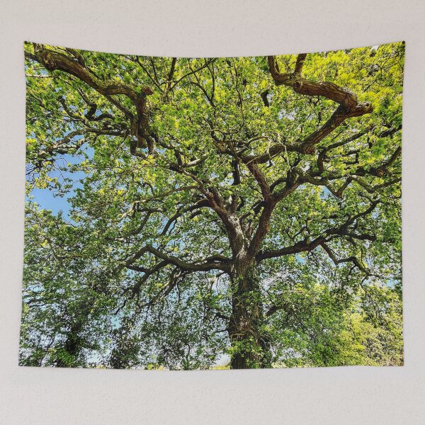 Item preview, Oak Tree designed and sold by ScenicViewPics.