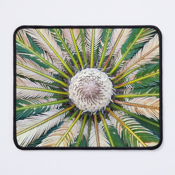 Item preview, Palmetto Top View designed and sold by gistinker.