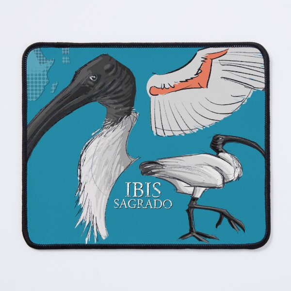 Item preview, Sacred Ibis — Zoological Elegance (SRBartist Style) designed and sold by SRBartist.