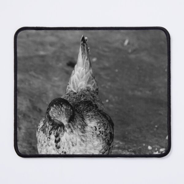 Item preview, carijo chicken. designed and sold by Nino rocha fotografia.